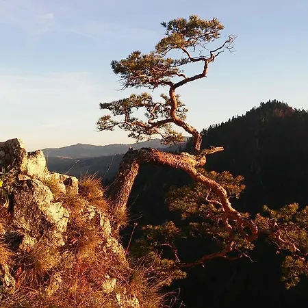 Uliaszowka Apartman *